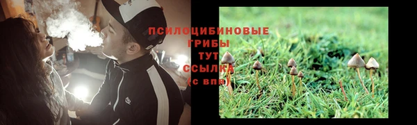 сатива Липки