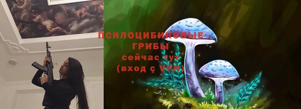 сатива Липки