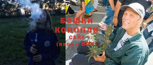 сатива Липки