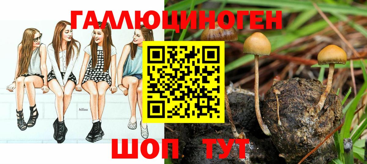 Галлюциногенные грибы мицелий  Галлюциногенные грибы MAGIC MUSHROOMS  Нерюнгри 